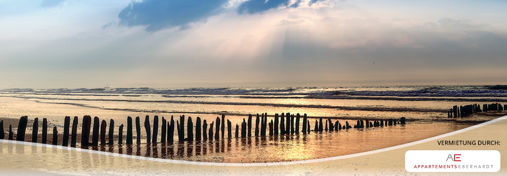 header3